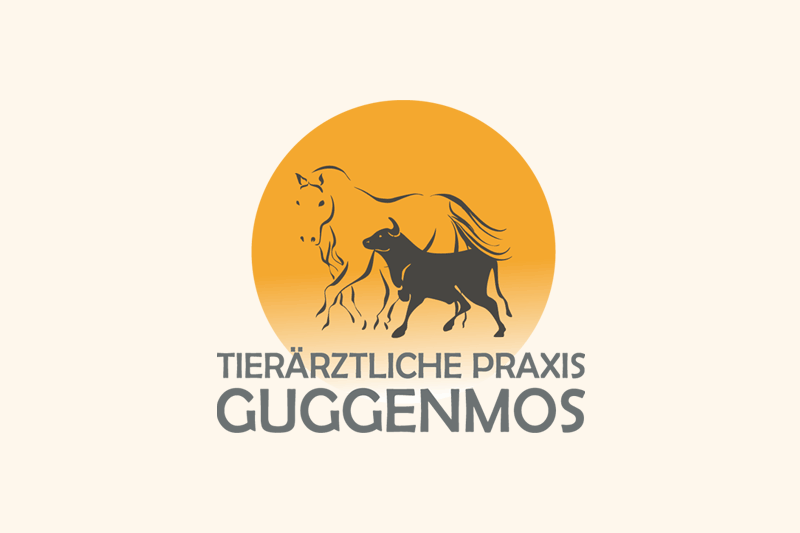 Westernreiten mit Herz
